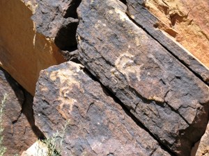 Antelope petroglyphs!