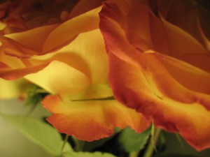 Sorry, there's no good lighting in our house!