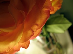 See, I'm not actually artistic.