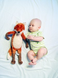 Yes, that fox is almost as big as the Bwun.