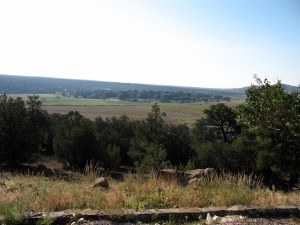 The cluster of trees in the middle. That's Ramah. All of it.