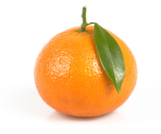 Clementines